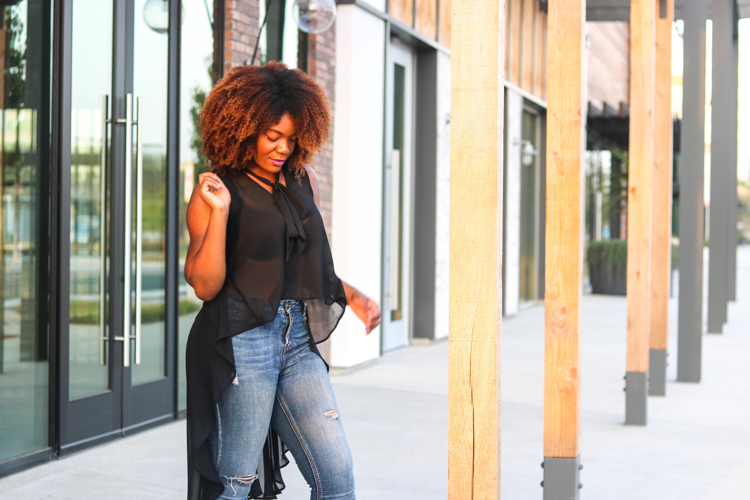 sheer top from fashion nova Blog Arteresa Lynn